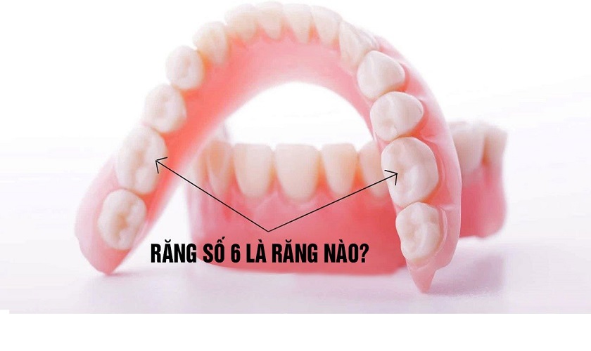 Vấn đáp: Nhổ răng hàm dưới có ảnh hưởng gì không? Các trường hợp nhổ răng hàm dưới